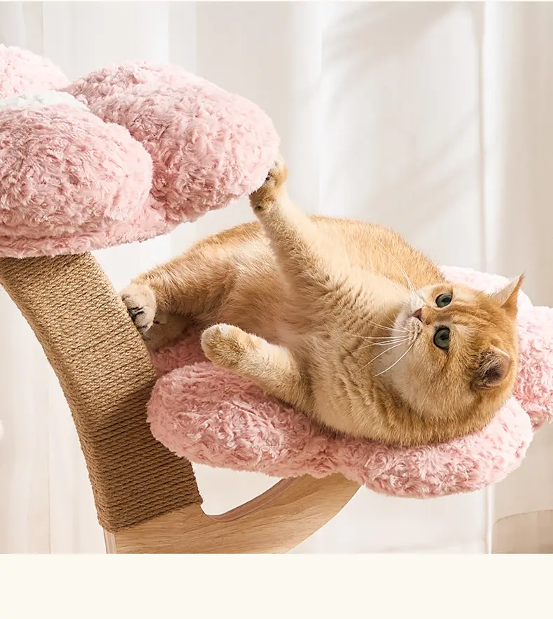 Cat resting on flower-shaped platform