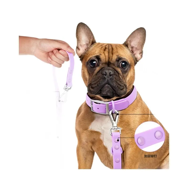 Reinforced rivet detail on purple leash