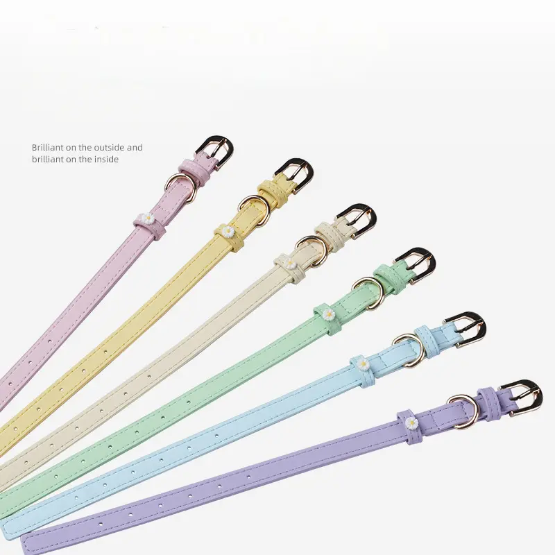 Six pastel collar colors