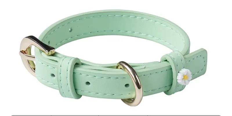 Mint green daisy collar