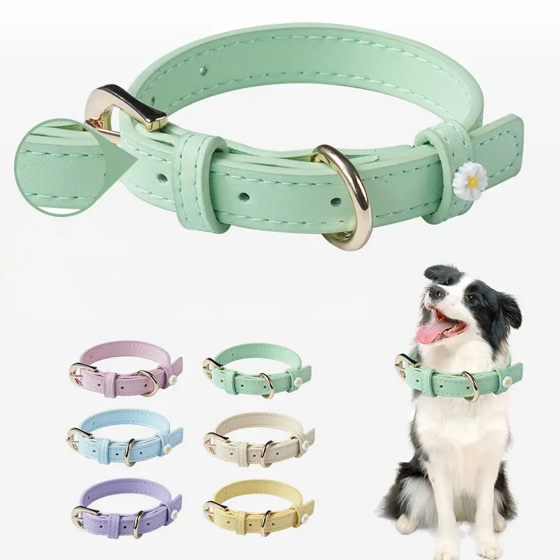 Daisy soft-color collar range