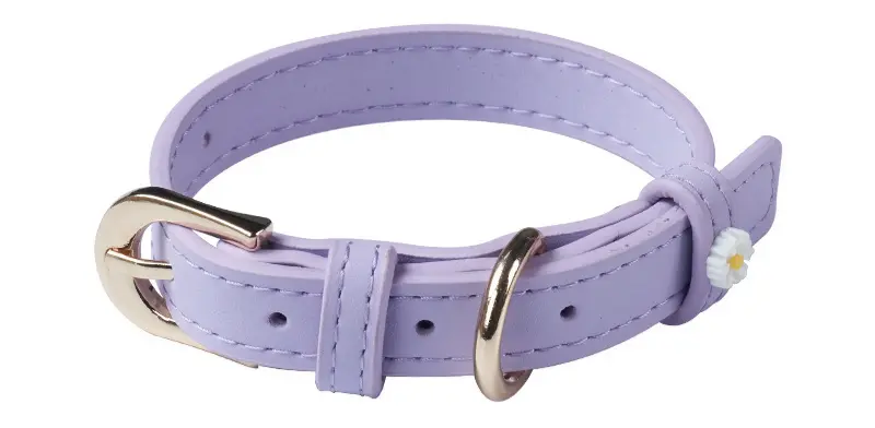 Purple daisy collar