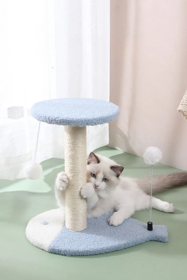Cat scratching the sisal post