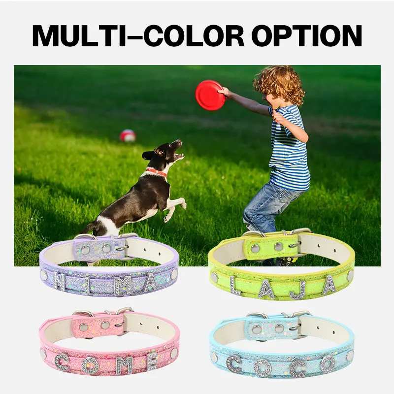 Glitter letter collar color options