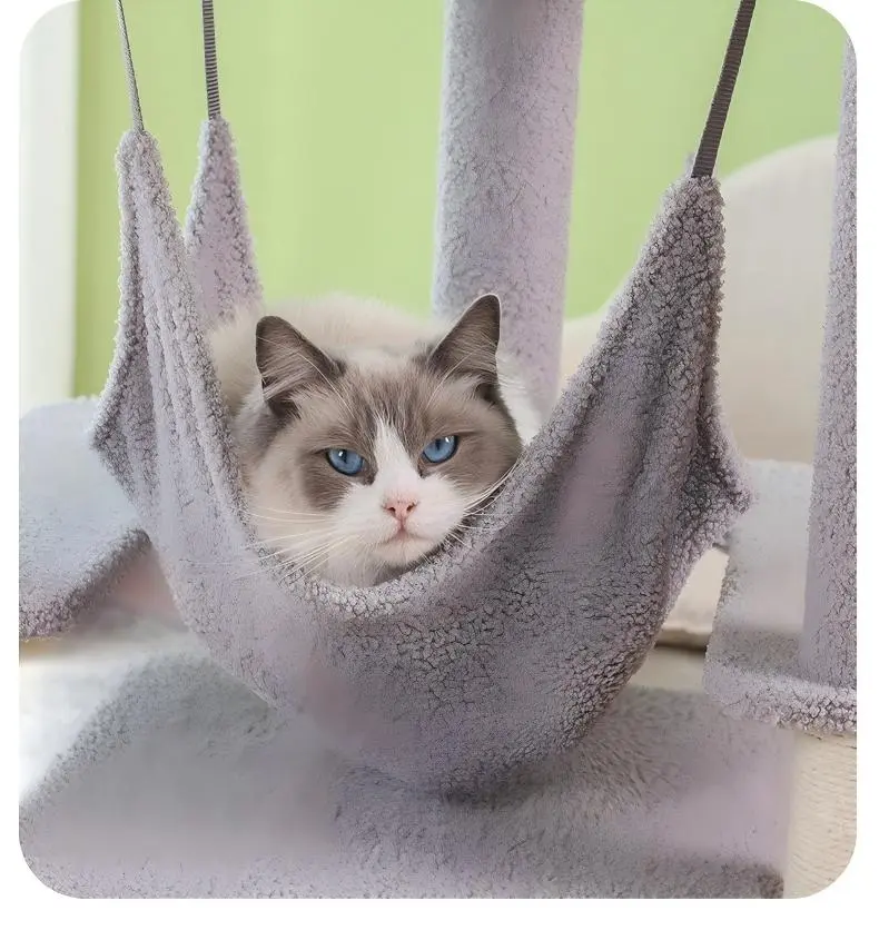 Cat resting in grey hammock