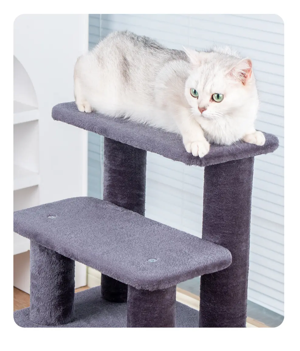 Cat resting on modular platform