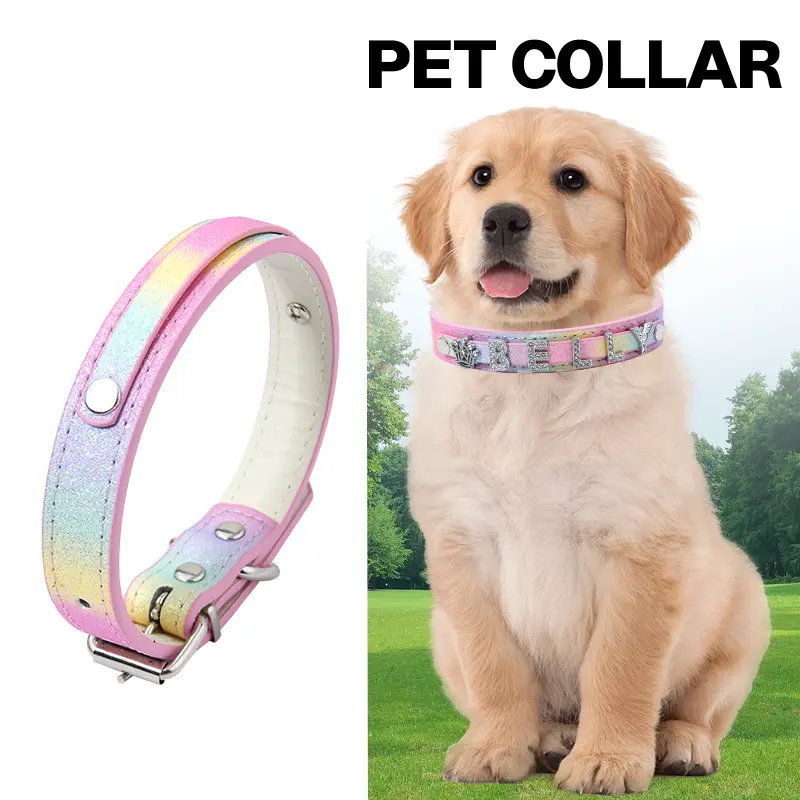 Rainbow personalized letter pet collar with dog