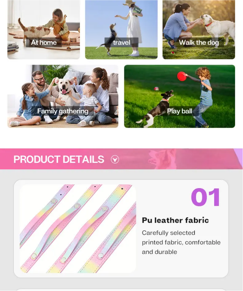 Rainbow pet collar lifestyle and material presentation