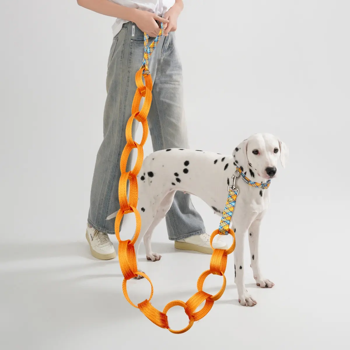 Ring-chain dog leash in use