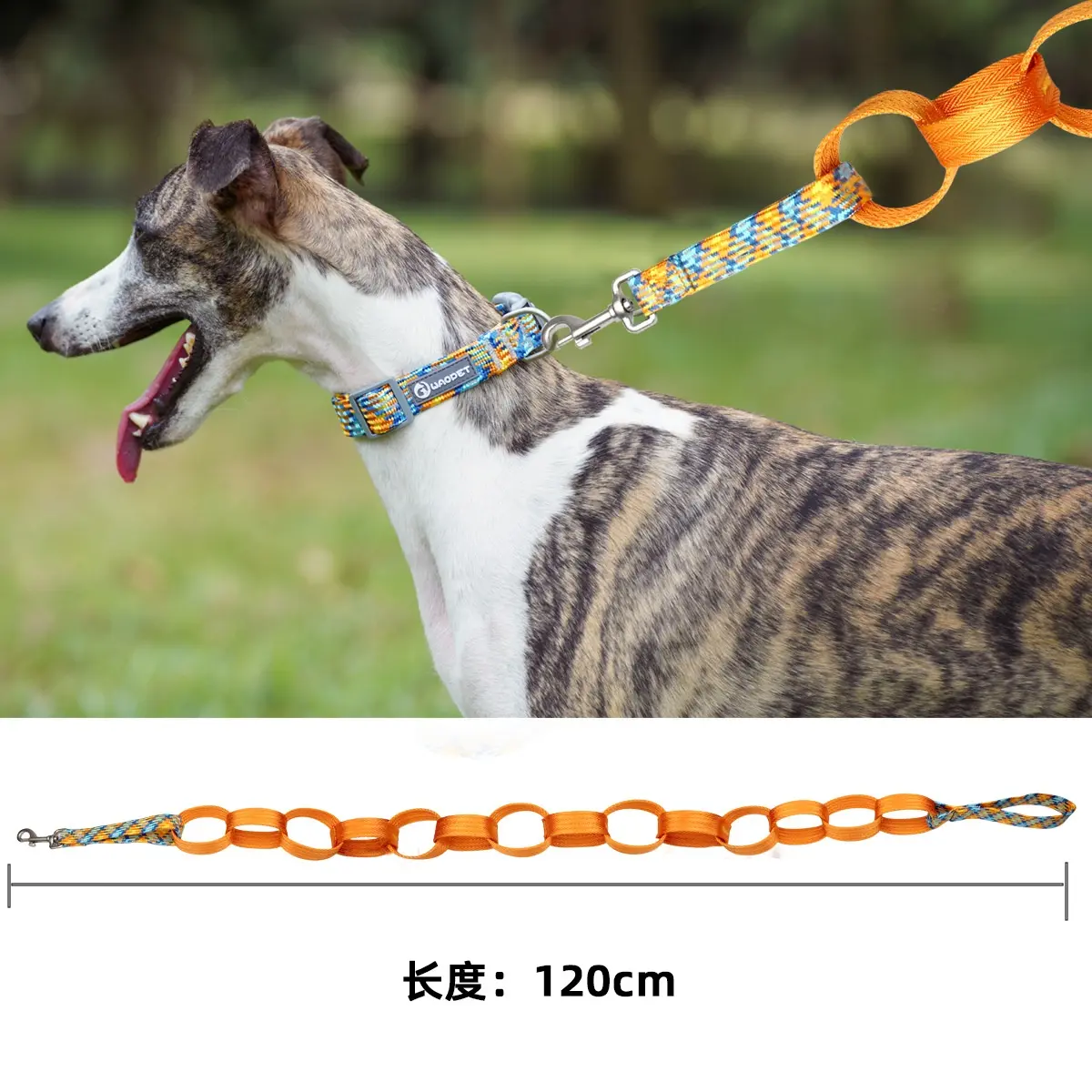 Ring-chain leash with 120 cm reference length