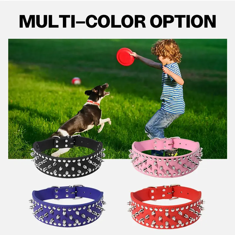 Black, pink, blue and red wide collar options