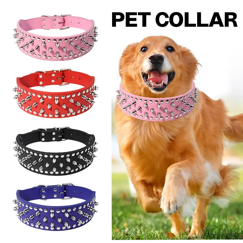 Wide studded spike pet collar color range with dog